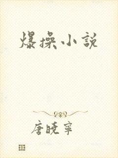 爆操小说