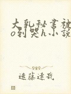 大乳秘书被cao到哭h小说