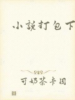 小说打包下载