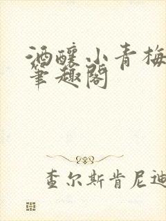 酒酿小青梅po笔趣阁