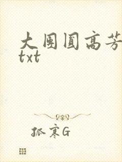 大团圆高芳小说txt