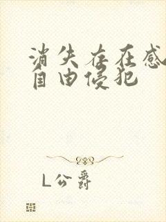 消失存在感消失自由侵犯