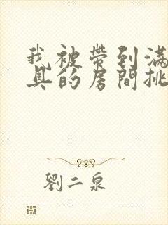 我被带到满是玩具的房间挑调游戏