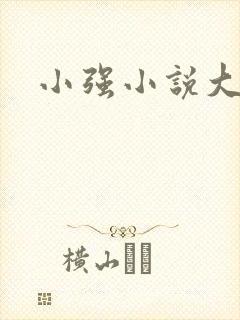 小强小说大全