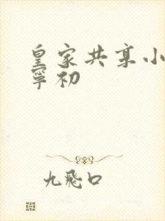 皇家共享小公主宁初