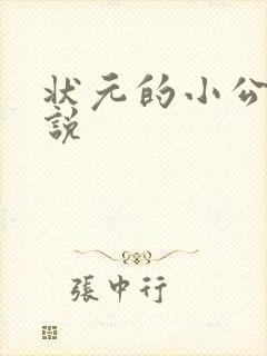 状元的小公主小说