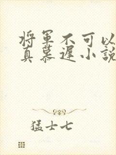 将军不可以魏云真慕迟小说笔趣阁