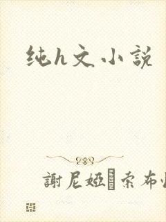 纯h文小说