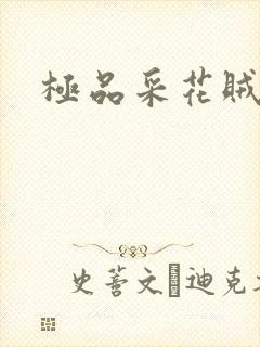 极品采花贼