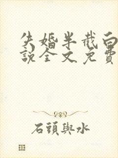 失婚半截白菜小说全文免费阅读