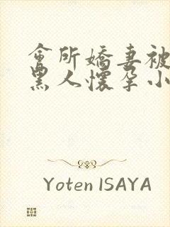 会所娇妻被多个黑人怀孕小说