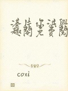 港片你洪兴仔笔趣阁免费阅读全文