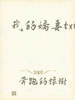 我的娇妻txt