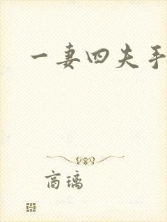一妻四夫手记