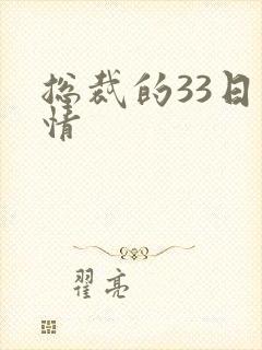 总裁的33日索情