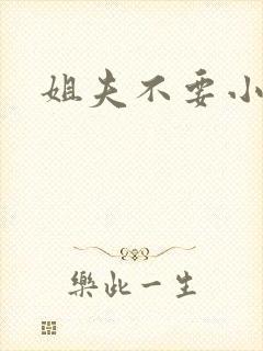 姐夫不要小说