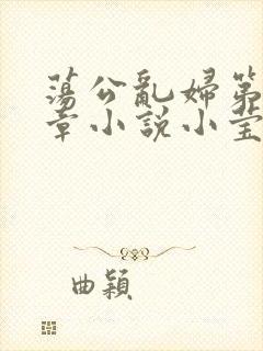 荡公乱妇第51章小说小莹