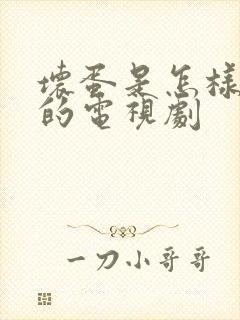 坏蛋是怎样炼成的电视剧