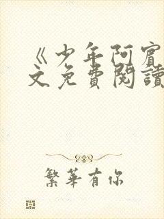 《少年阿宾》全文免费阅读