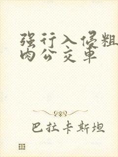 强行入侵粗暴h肉公交车