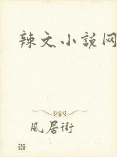 辣文小说网