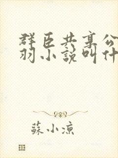 群臣共享公主银羽小说叫什么