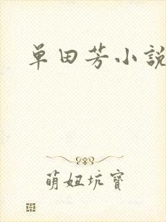 单田芳小说
