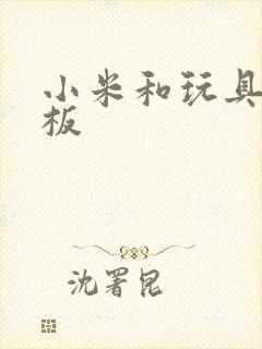 小米和玩具店老板