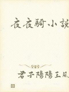 夜夜骑小说