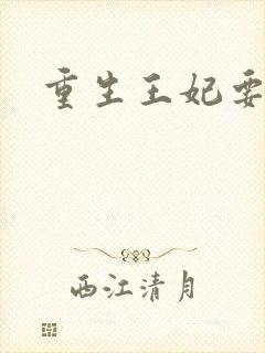 重生王妃要和离