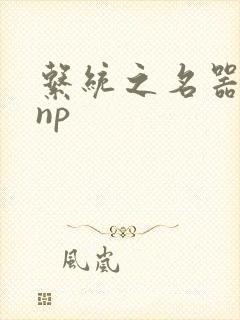 系统之名器攻略np