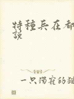 特种兵在都市小说