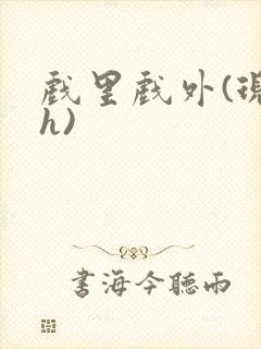 戏里戏外(现场h)