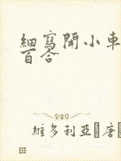 细写开小车车的百合