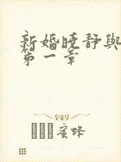 新婚晓静与翁公笫一章