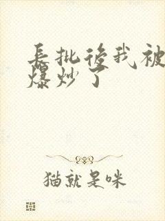 长批后我被宿敌爆炒了