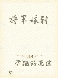 将军嫁到