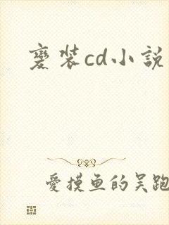 变装cd小说