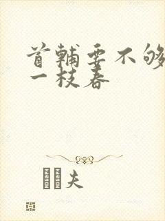 首辅要不够po一枝春