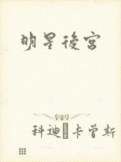 明星后宫