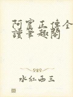 阿宾正传全文阅读笔趣阁