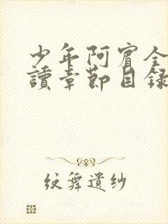 少年阿宾全文阅读章节目录