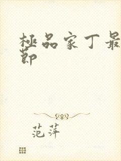 极品家丁最新章节