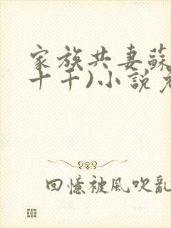 家族共妻苏苏(十千)小说免费