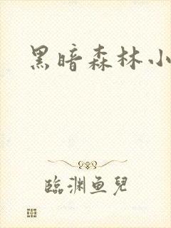黑暗森林小说