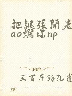 把腿张开老子cao烂你np