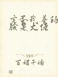 完蛋我养的小白脸是大佬