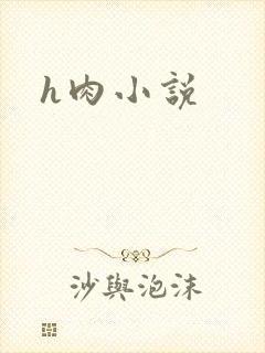 h肉小说