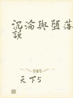 沉沦与堕落的小说