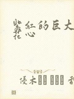 紫红的巨大顶开花心